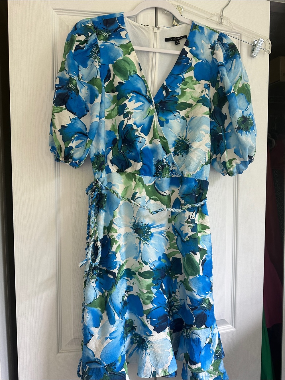 Alex Marie Blue & Green Floral Mini Dress